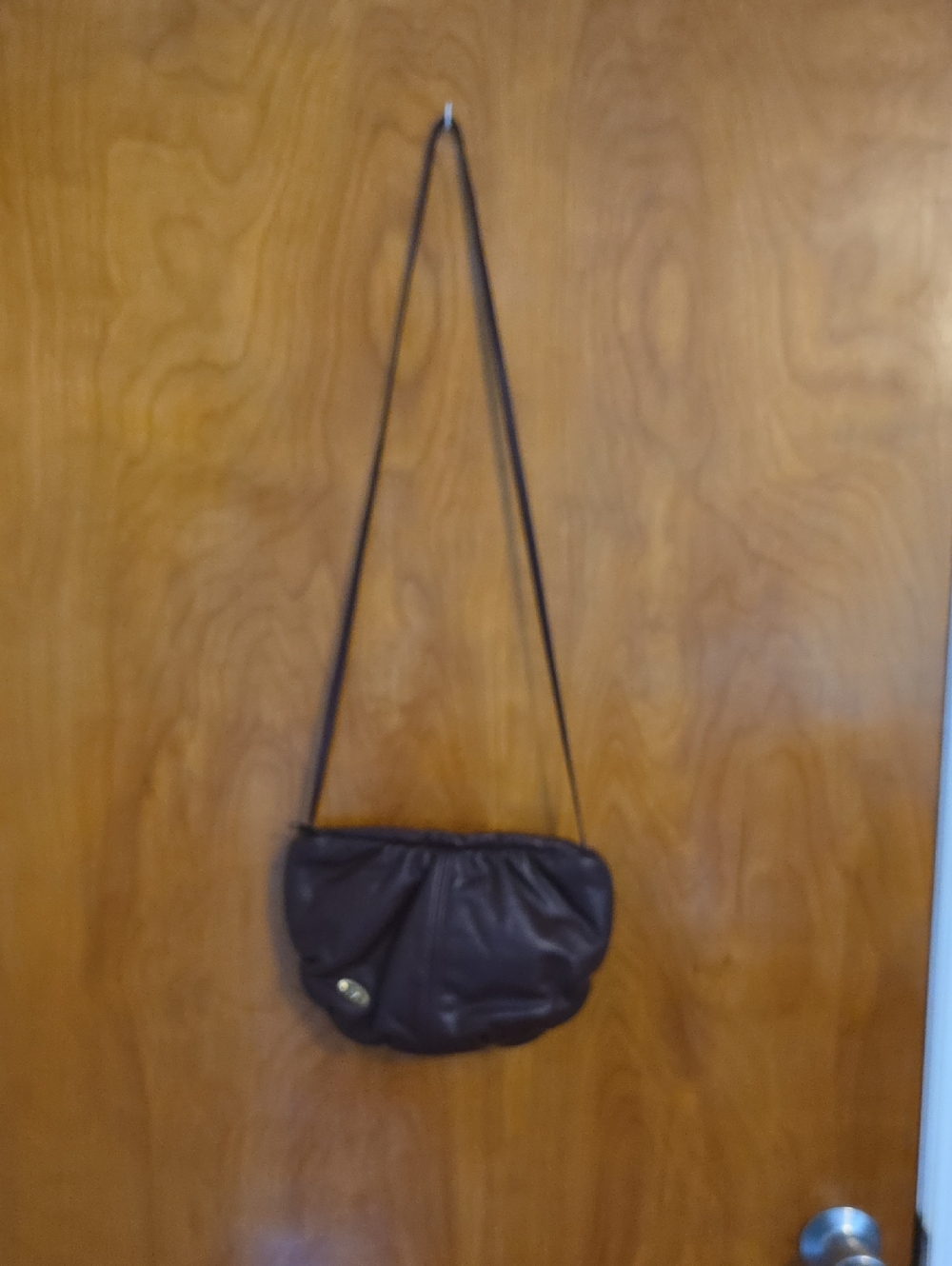 Etienne Aigner Burgundy Gathered Leather Crossbody with Metal Accent